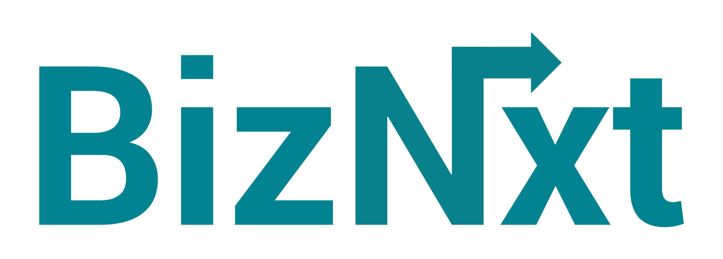 BizNxt Logo
